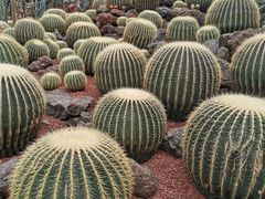 -南通洲际绿博园