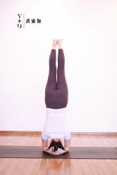 -Y+U遇瑜伽·普拉提
