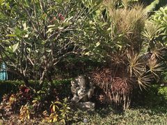 -厦门日月谷温泉渡假村