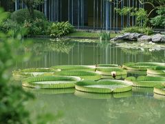 -云溪植物园