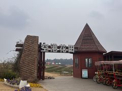 -空港花田景区