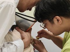 -艾吉宠物医院·疑难杂症转诊中心·猫友好(碧江路院)