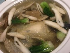 -席家花园(巨鹿花园店)