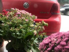 -褒河栈道渔庄(建工路总店)