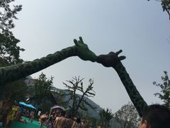 -苏州乐园森林水世界