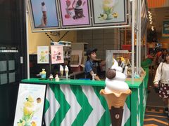 -line friends(明洞旗舰店)