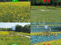 -北坞公园