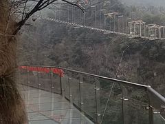 -千岛湖石林