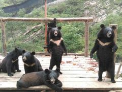 -大连森林动物园