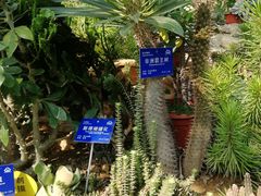 -国家植物园南园