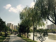 -桐乡植物园