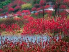 -桃花涧