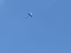 -柳湖沙月沙滩公园