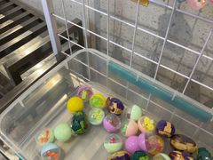 -黄记煌三汁焖锅(顺义华联店)