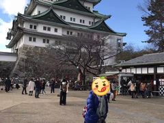 -名古屋城