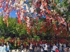 -祥源·阜阳生态乐园