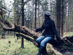 -硗碛藏寨·神木垒景区