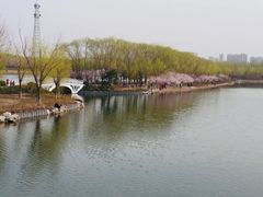 景点-大兴滨河森林公园