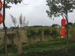 -天适樱花悠乐园