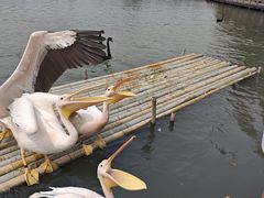 -宁波野生动物园