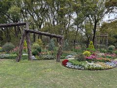 -共青国家森林公园-售票处