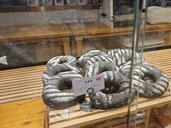-21克拉面包(大悦城店)