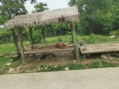 -西安秦岭野生动物园