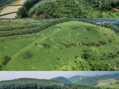 -罗坑大草原