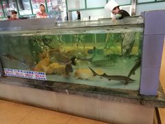 -七叔家宴家常广西菜(明秀东路店)