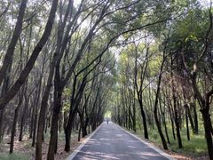 -同里国家湿地公园