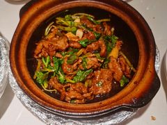 啫啫牛蛙-煲煲好(朝阳门店)