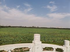 -天津金元宝滨海农产品交易市场(共发大道)