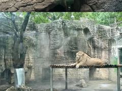 -成都动物园