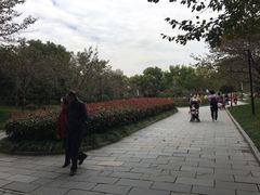 -堤角公园