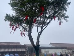 -从前慢海鲜面馆