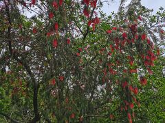 -南国桃园旅游度假区