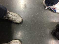 -上海动物园(地铁站)