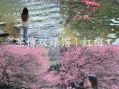 -中国茶叶博物馆(双峰馆区)