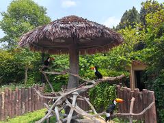 -上海野生动物园