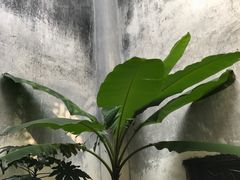 -富侨养生(光大会展店)