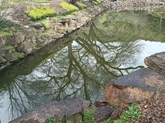 -冶父山国家森林公园