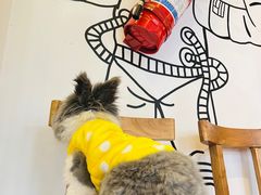 -景迈森林(古华园店)