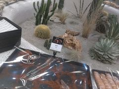 -OUR Bakery(SKP-S店)