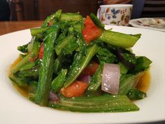 洋葱番茄炝油麦菜-胖老汉椒麻鸡清真新疆菜(西御街店)