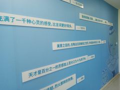 -小荧星艺校(浦东中环分校)