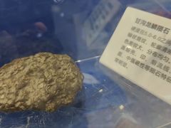 -浙江省科技馆