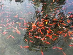 -水磨沟公园