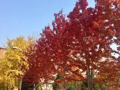 -辽宁大学(崇山校区)