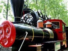 -合肥滨湖国家森林公园