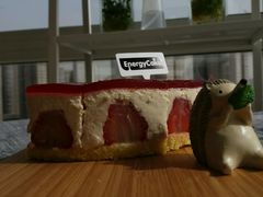 -EnergyCake蛋糕理想国